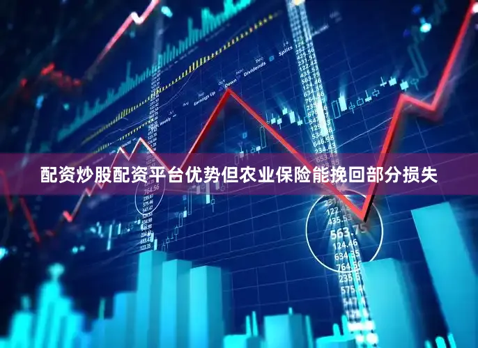配资炒股配资平台优势但农业保险能挽回部分损失